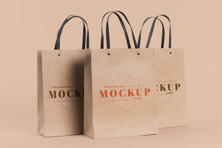 纸袋购物袋环保袋品牌设计贴图样机PSD模板 Paper bag concept with mock-up