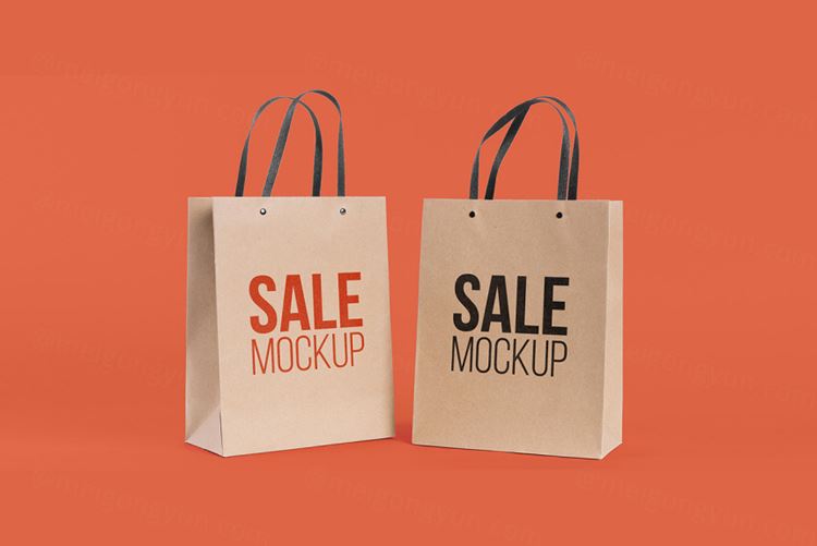 纸袋购物袋环保袋品牌设计贴图样机PSD模板 Paper bag concept with mock-up