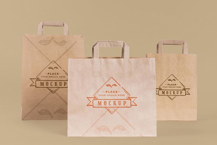 纸袋购物袋环保袋品牌设计贴图样机PSD模板 Paper bag concept with mock-up