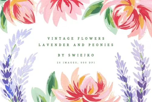 古典手绘牡丹薰衣草插画素材 Lavender  Peonies vintage flowers