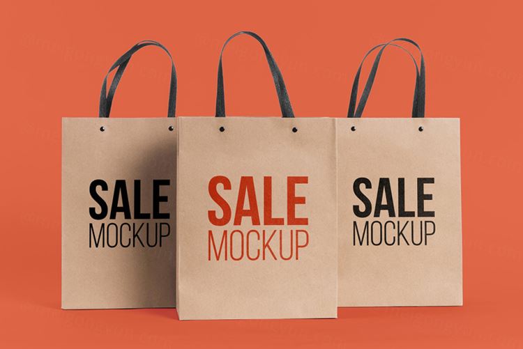 纸袋购物袋环保袋品牌设计贴图样机PSD模板 Paper bag concept with mock-up