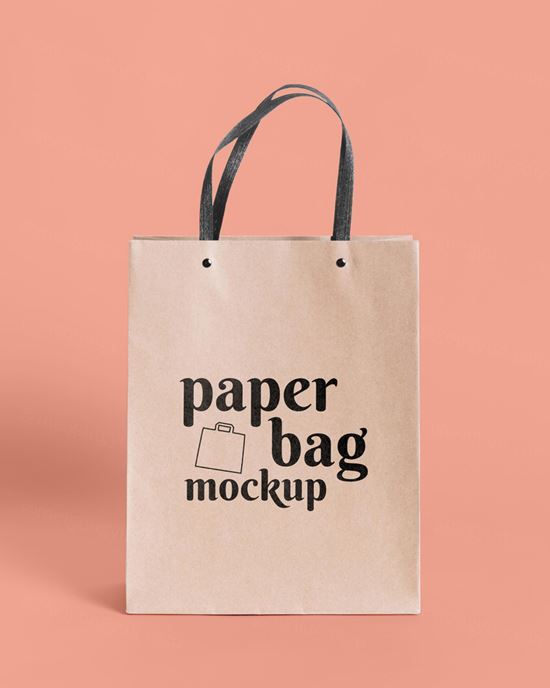 纸袋购物袋环保袋品牌设计贴图样机PSD模板 Paper bag concept with mock-up