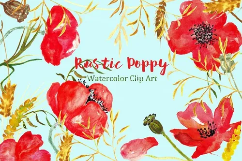 夏季乡村浪漫罂粟剪贴画 Ructic Poppy water
