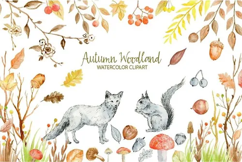 水彩秋季林地剪贴画合集 Watercolor Clipart Autumn Woodland