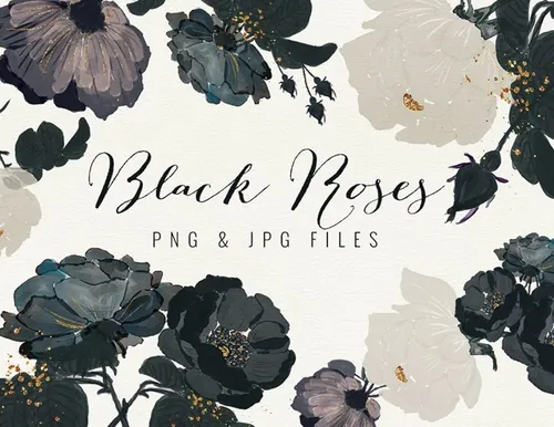 高雅黑色玫瑰手绘水彩剪贴画 Black Roses