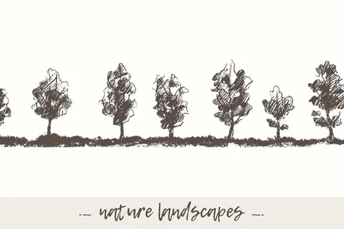 手绘素描自然景观树木插图素材 Hand-drawn-natu