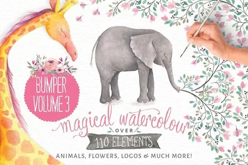 水彩动物 花卉插画合集 Watercolor animals  flowers vol 3