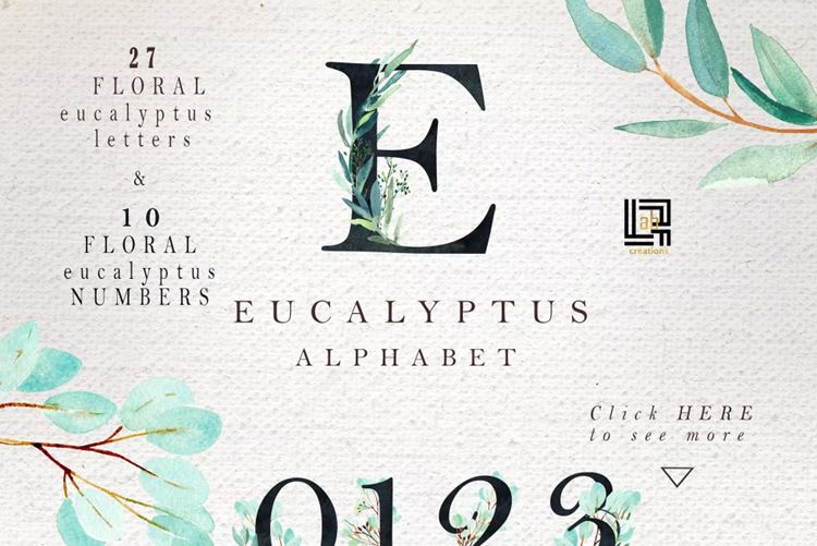 桉树叶水彩剪贴画水彩装饰字体 Eucalyptus. Wat