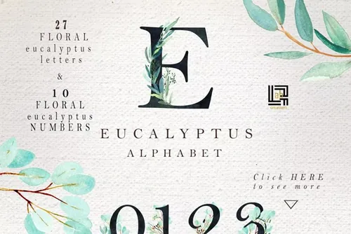 桉树叶水彩剪贴画水彩装饰字体 Eucalyptus. Wat