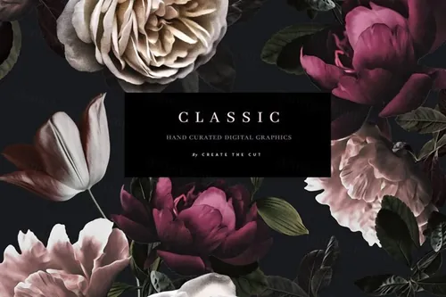 浪漫风格手绘玫瑰花素材 Romantic Clip Art