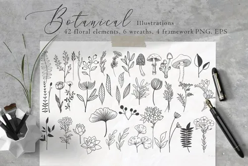 高质量手绘春天植物花卉插图插画合集 Floral Botan