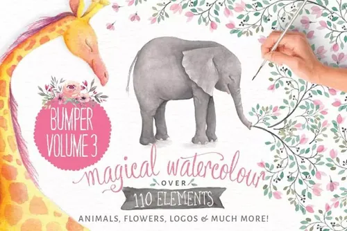 水彩动物花卉插画合集 Watercolor animals