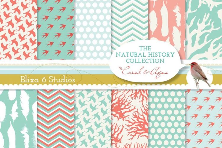 自然历史珊瑚背景纹理素材 Natural History