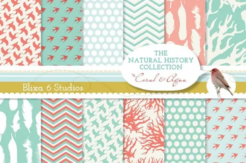 自然历史珊瑚背景纹理素材 Natural History