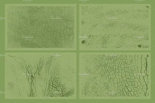 20个动物皮肤背景纹理素材 20 Animal Skins