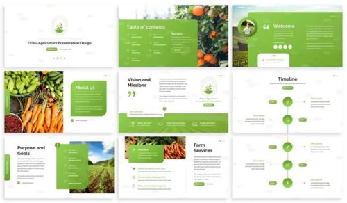 绿色现代风格农业项目PPT模板下载 Tirisia Powerpoint Template