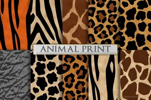 动物斑点花纹创意素材 Animal Print Patterns