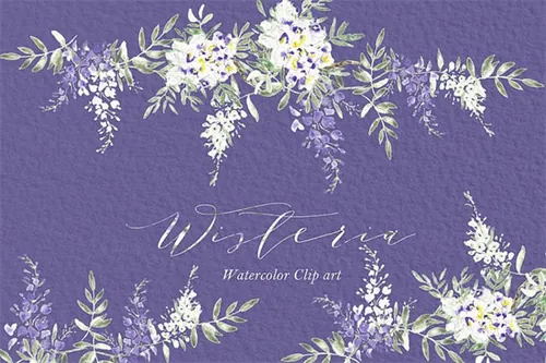 紫藤水彩画图形 Wisteria wedding watercolors