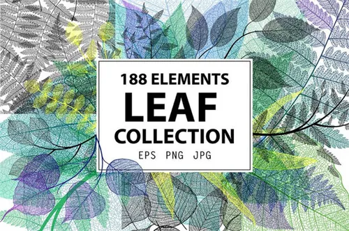 静谧的树叶树枝纹理素材Leaf Collection