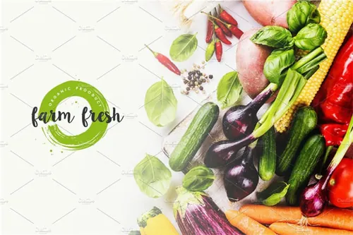 72个漂亮的绿色设计元素矢量标志Organic , Natural and Vegan Badges