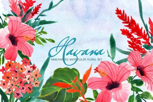 水彩花卉插画集 Havana Watercolor Clip
