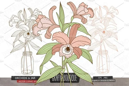 花卉素材剪贴画 Orchids mason jar vect