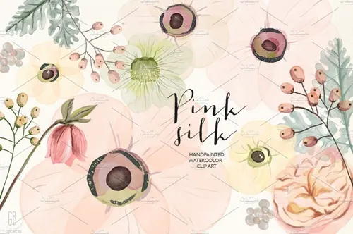 水彩蚕丝插画 Watercolor pink silk fl