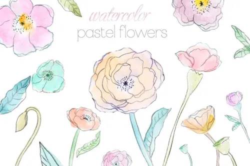 水彩花卉素材 Pastel Watercolor Flowers