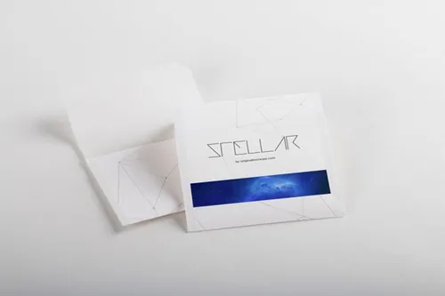 茶包品牌设计样机 Tea Bags Mockup 01