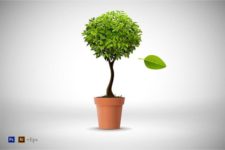 清新绿叶封面Realistic Vector Tree