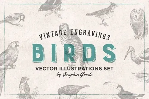 97张手绘复古鸟类雕刻剪贴画矢量插画素材 Birds Eng