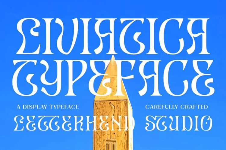 精致优雅的女性婚礼请柬品牌设计海报排版英文衬线字体  LIV