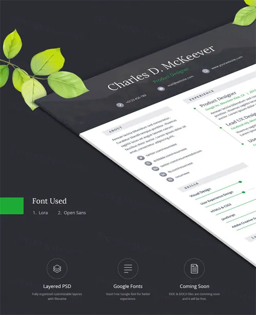 简历模板CV/Resume Template