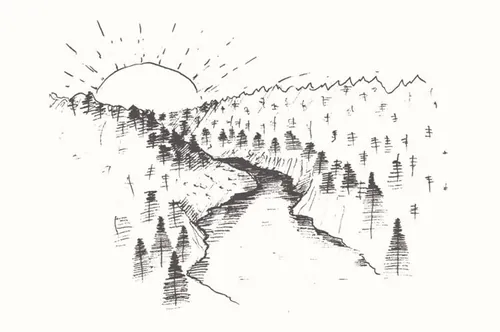 日出时的冷杉林插画 Fir forest at the sunrise
