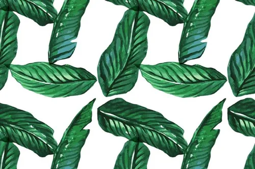无缝矢量棕榈树 Seamless vector palm tree