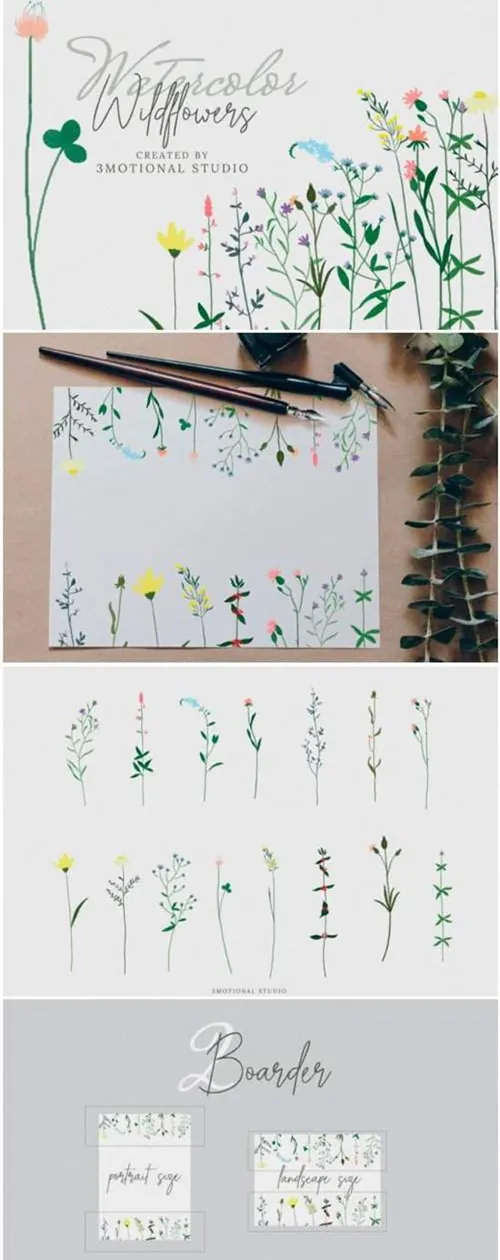 高分辨率的水彩野花插画合集 Watercolor Wildflowers High Res Png