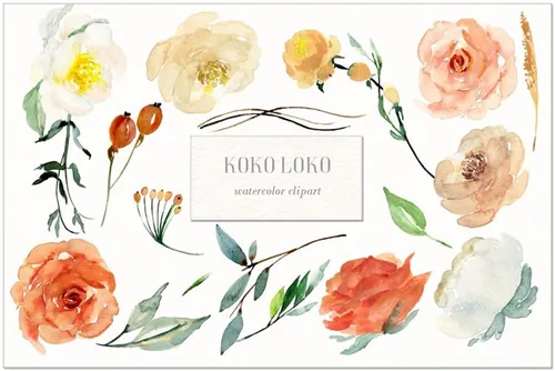 水彩花卉素材 Koko Loko. Watercolor f
