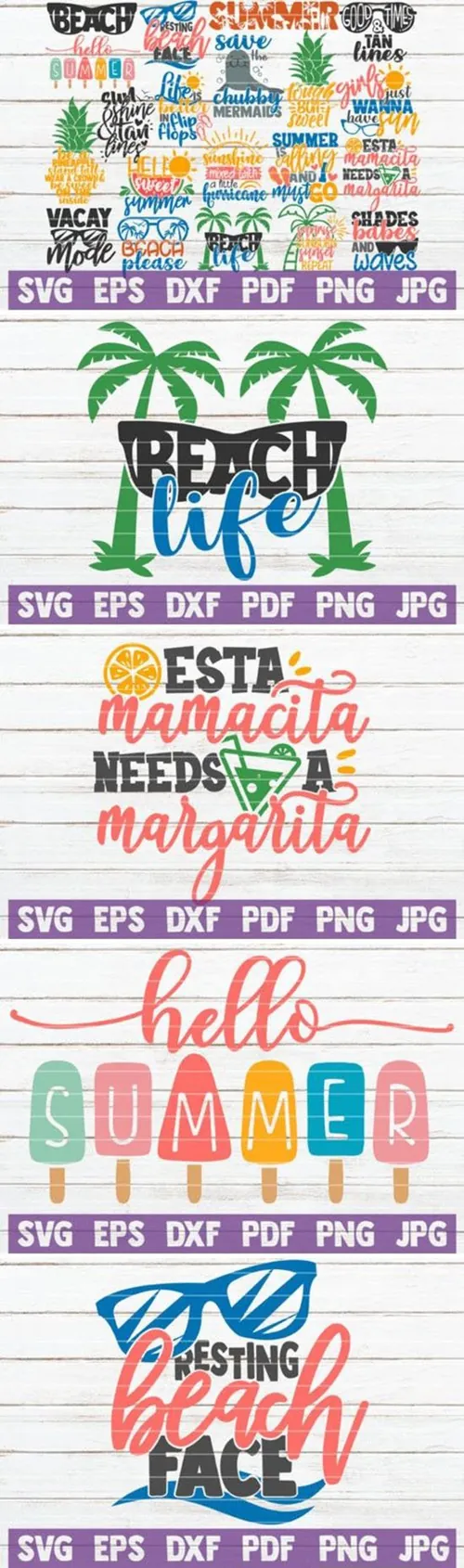 夏季海滩热带主题图案合集Summertime SVG Bundle Beach Life