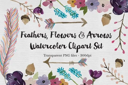 水彩花卉素材插画 Watercolor Feather  F