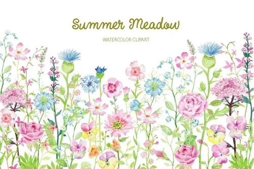 夏天水彩花卉剪贴画 Watercolor Clipart S