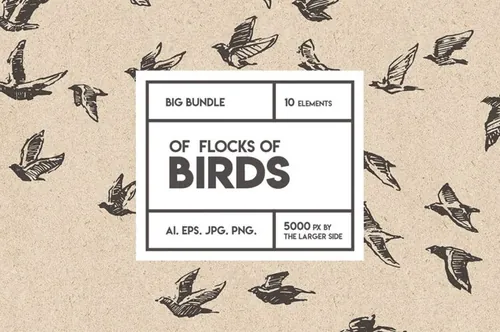 小鸟素描插画素材 Flocks of birds , ske