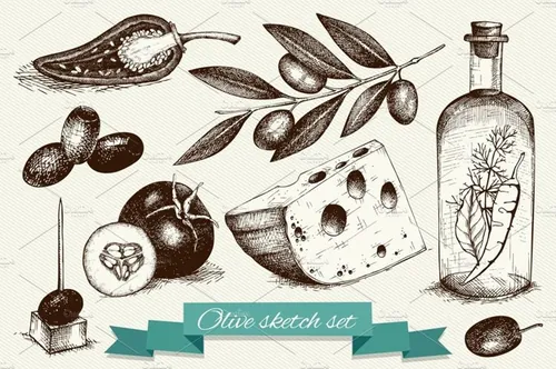 经典橄榄插画素材 Vintage Olive Illustr