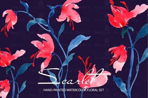 水彩肌理花卉剪贴画集 Scarlet  Watercolor