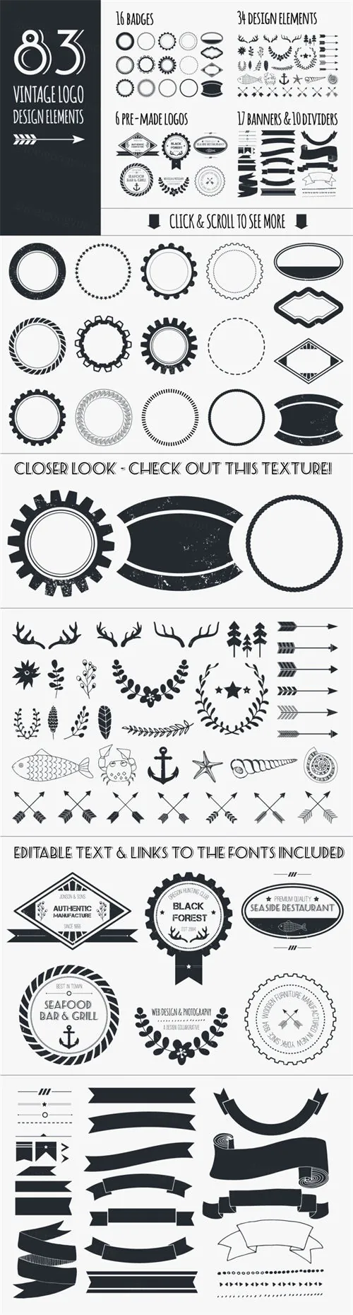 经典的logo设计元素模板 Vintage Logo Elements