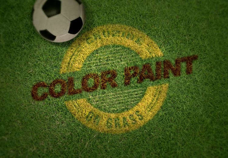 足球场草坪标志logo贴图PSD模板Logo Mockup – Color Paint on Grass