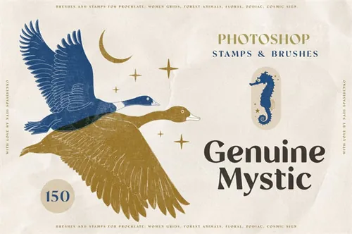 女性瑜伽曲线柔美姿势抽象线稿动物植物画笔套装 Genuine Myst