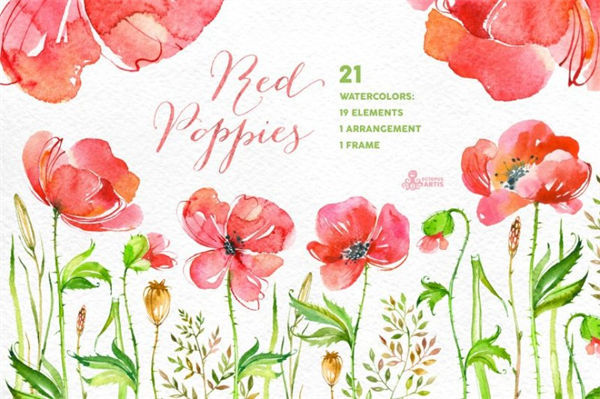 手绘水彩花卉logo设计 Red Poppies. Floral collection