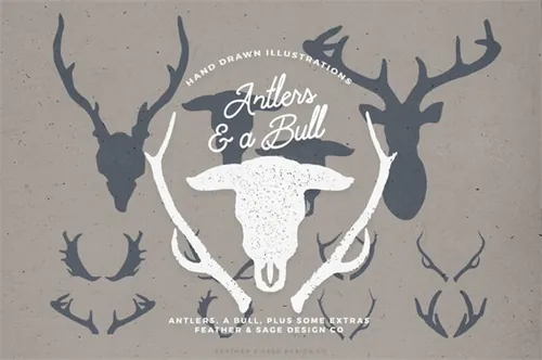 公牛矢量logo设计 Antlers  a Bull Vector Graphics