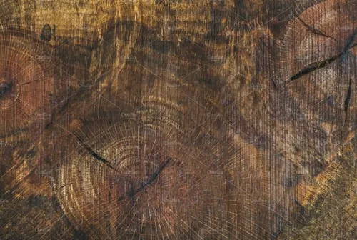 木纹材质背景纹理 Texture saw cut of the wood