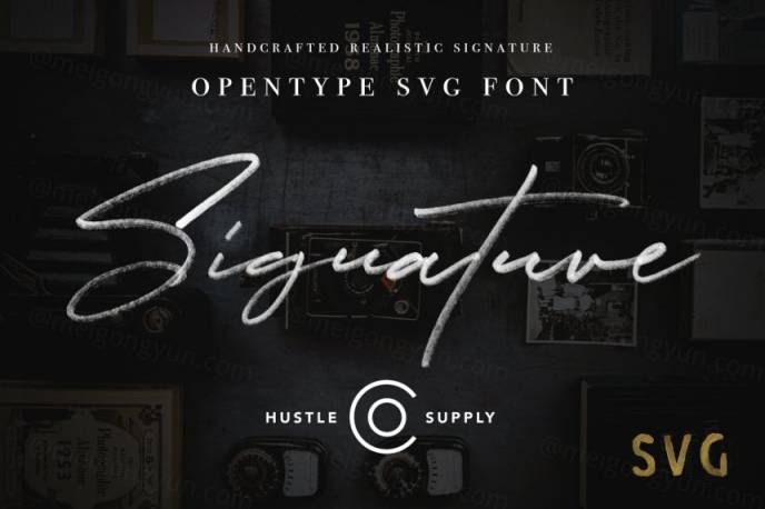 草书字体设计 JV Signature SVG  Opentype